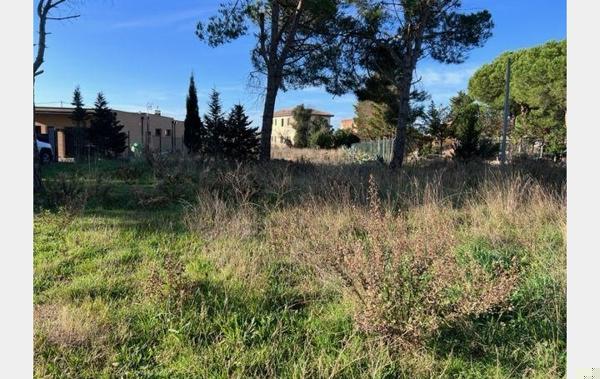 Vente Terrain Constructible Marseillan   