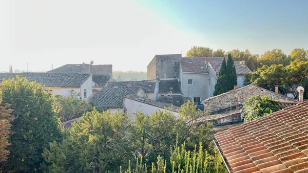 BEL APPARTEMENT DANS UN ENVIRONNEMENT ARBORE EN PLEIN CENTRE HISTORIQUE