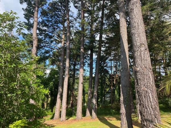 Vente Propriété de luxe Plomelin 10 Pièces 200 m²