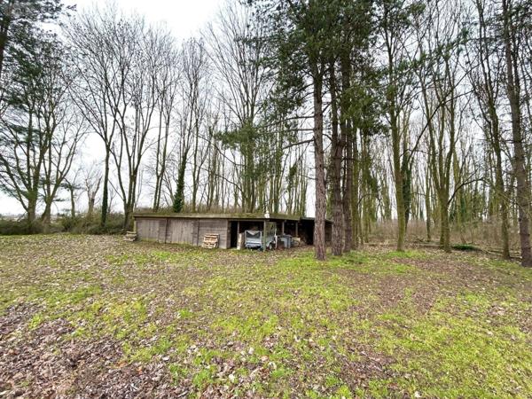 Maison à vendre à Hazebrouck dans le Nord (59190), ref :