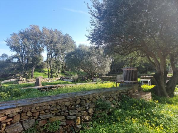 Meria (20287) VIAGER OCCUPÉ- Maison avec studio indépendant et garage à Meria (env 2km de la plage et la marine)