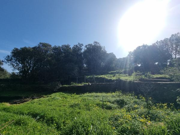 Meria (20287) VIAGER OCCUPÉ- Maison avec studio indépendant et garage à Meria (env 2km de la plage et la marine)