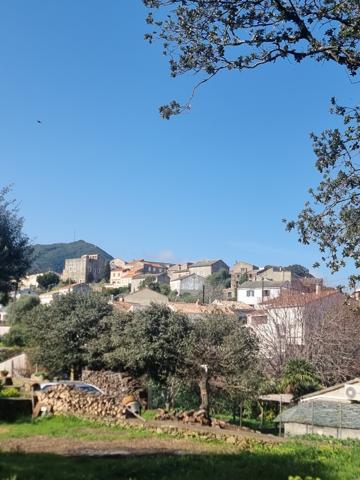 Meria (20287) VIAGER OCCUPÉ- Maison avec studio indépendant et garage à Meria (env 2km de la plage et la marine)