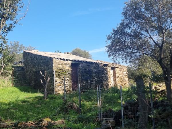 Meria (20287) VIAGER OCCUPÉ- Maison avec studio indépendant et garage à Meria (env 2km de la plage et la marine)