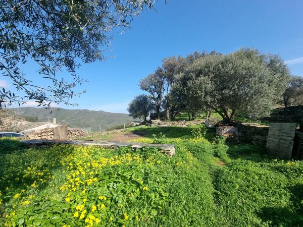 Meria (20287) VIAGER OCCUPÉ- Maison avec studio indépendant et garage à Meria (env 2km de la plage et la marine)