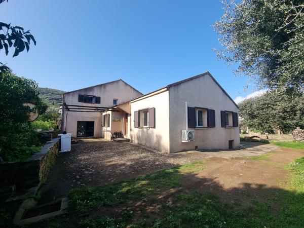 Meria (20287) VIAGER OCCUPÉ- Maison avec studio indépendant et garage à Meria (env 2km de la plage et la marine)