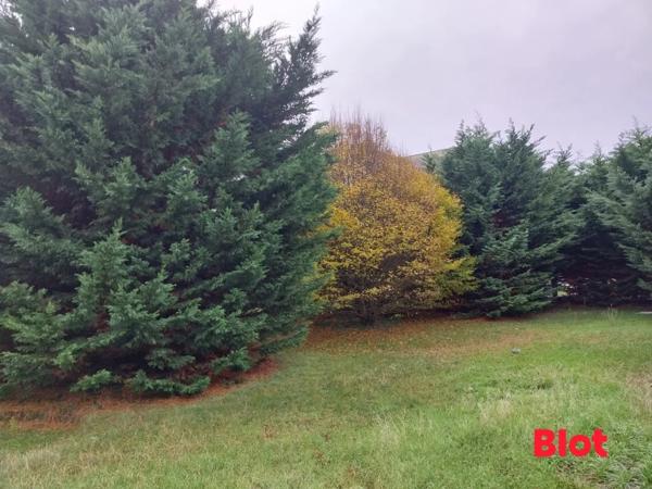 Terrain 533m²
