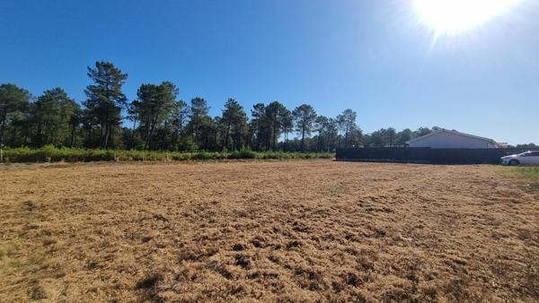 À vendre – Terrain viabilisé de 716 m² – Parentis-en-Born, centre-ville