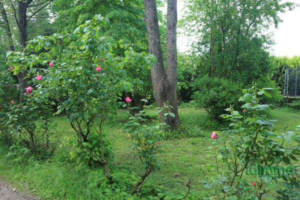 MAGNIFIQUE TERRAIN CONSTRUCTIBLE, DANS PROPRIETE D'EXCEPTION, DE 400 M2. A 10 MN DE LA ROCHELLE. La Jarrie (17220)