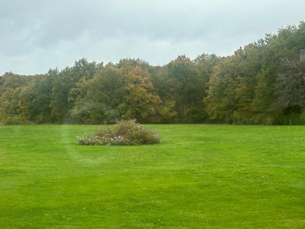 Propriété de charme à vendre proche de CHEVERNY (41)