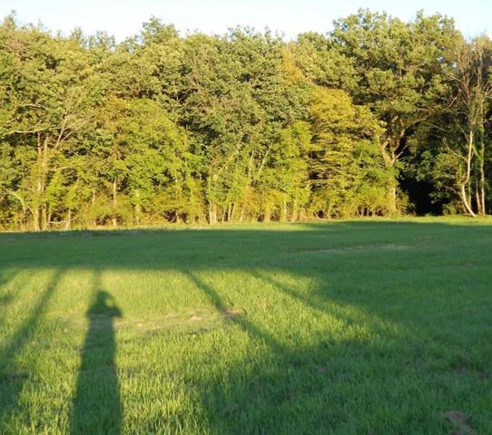 Propriété de charme à vendre proche de CHEVERNY (41)