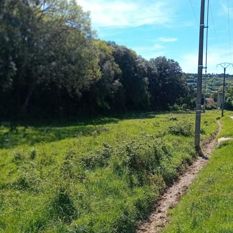 Terrain constructible et viabilisé de 3.637m² à Montolieu, Village des Livres et des Arts Montolieu (11170)