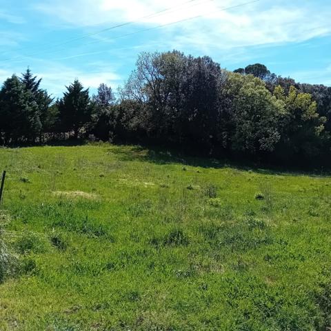 Terrain constructible et viabilisé de 3.637m² à Montolieu, Village des Livres et des Arts Montolieu (11170)