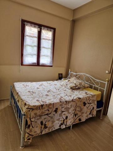 Appartement  4 pièce(s) 117 m2 , 3  chambres, rez-de-chaussée, grande terrasse, Gourbeyre