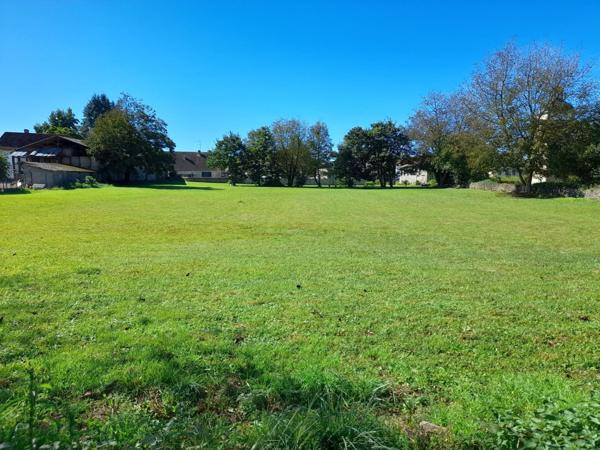 Beau terrain de 2500m2 à bâtir