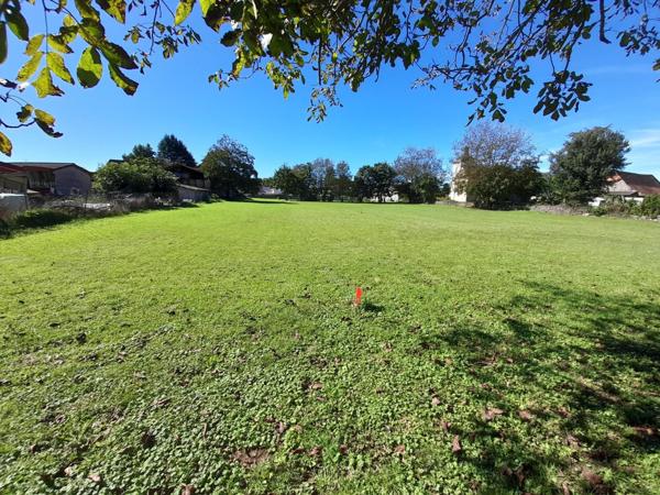 Beau terrain de 2500m2 à bâtir