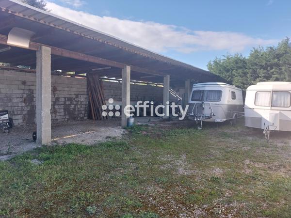 Local Commercial - 800 m² Exclusivité efficity