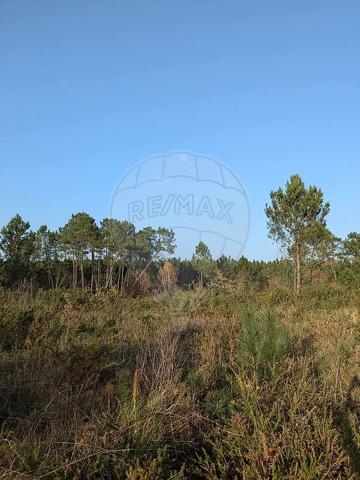 Terrain  en vente - Landes - 40