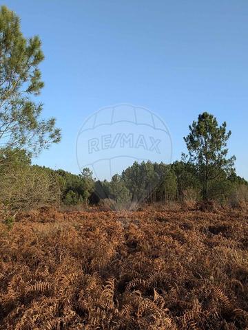Terrain  en vente - Landes - 40