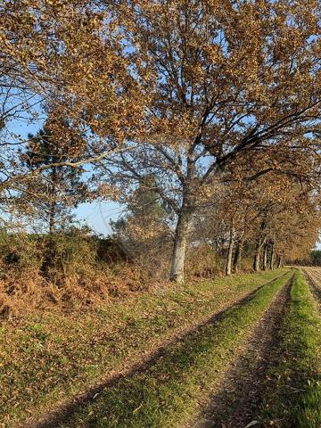 Terrain  en vente - Landes - 40