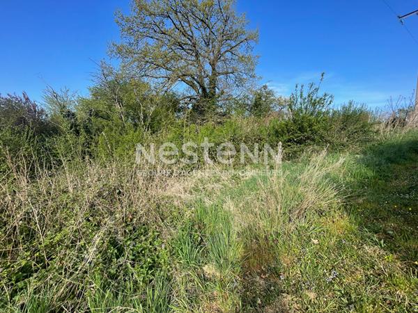 COMBLES EN BARROIS - Terrain constructible de 1 506 m² - Idéal promoteur ou investisseur