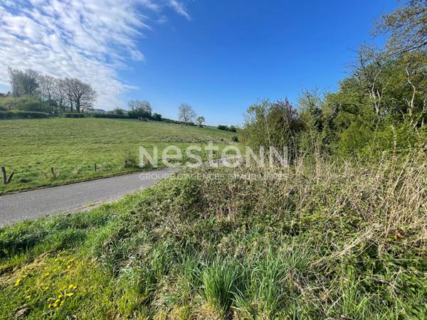 COMBLES EN BARROIS - Terrain constructible de 1 506 m² - Idéal promoteur ou investisseur