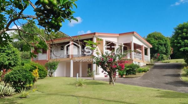 grande villa avec appartement locatif