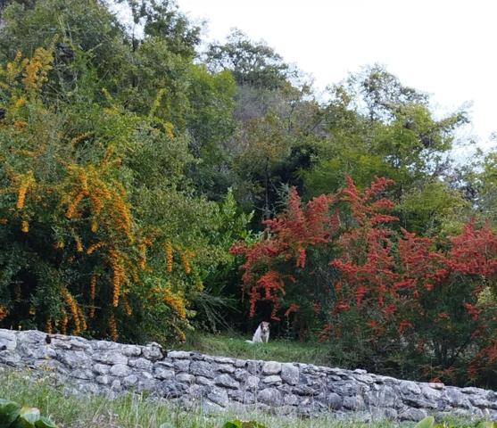 Maison à vendre 4 pièces proche de Thoirette-Coisia (39)