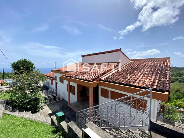 Haut de villa T4 + mezzanine avec vue mer et montagne