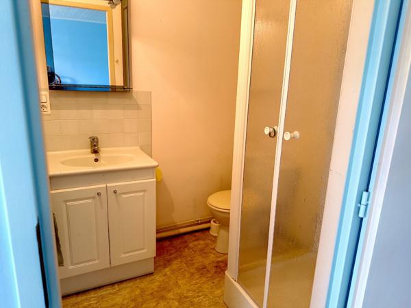 Ensemble immobilier de caractère avec habitation, garage, ateliers, bucher et bucolique jardin clos de 400 M2