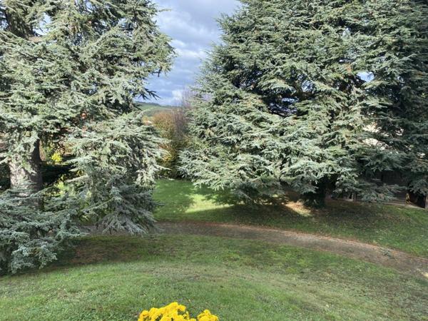 Maison à vendre 7 pièces LENTILLY (69)