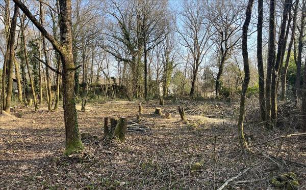 Terrain à vendre |  Le Pian-Médoc |  2720 m²