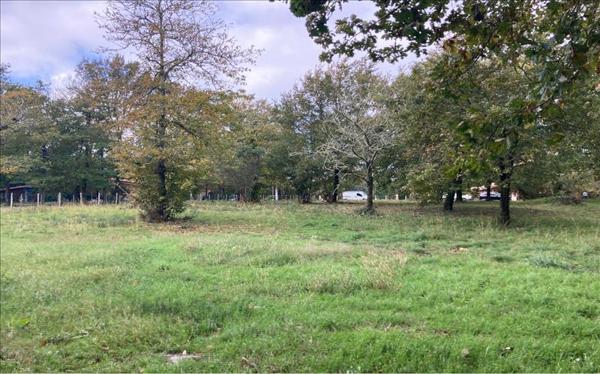 Terrain à vendre |  Grayan-et-l'Hôpital |  1623 m²