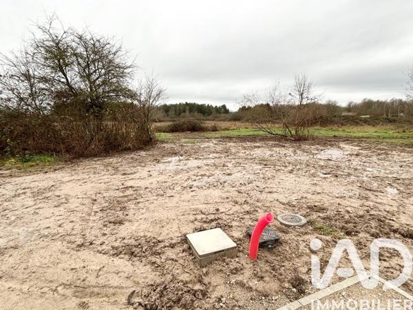 Terrain à vendre 763 m² Pruniers-en-Sologne