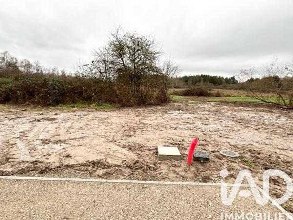 Terrain à vendre 763 m² Pruniers-en-Sologne