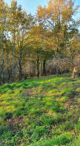 Terrain 1800 m2 COSNAC