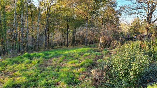 Terrain 1800 m2 COSNAC