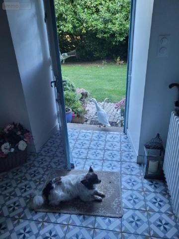 Maison à vendre à Clohars-Carnoët dans le Finistère (29360), ref : 29114-1073561