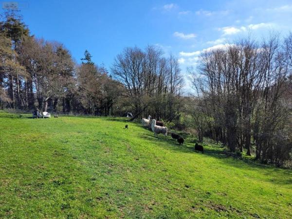 Maison à vendre à Clohars-Carnoët dans le Finistère (29360), ref : 29114-1073561