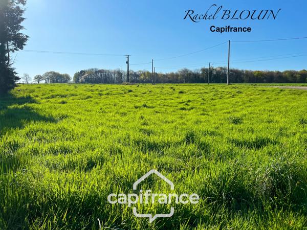 Grande étable en pierre de belle hauteur à rénover 226 m2 au sol sur terrain de 6 760 m2 à MARTIGNE FERCHAUD (35)