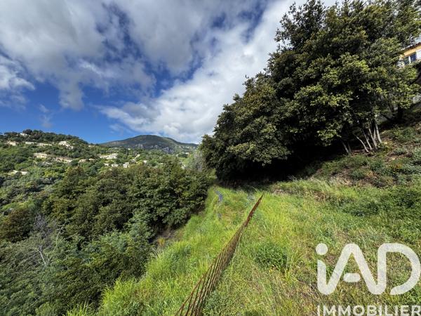 Terrain à vendre 3 117 m² Sainte-Agnès