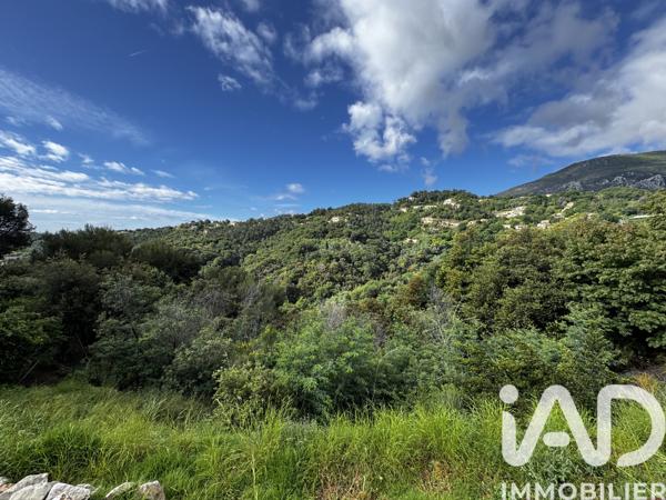 Terrain à vendre 3 117 m² Sainte-Agnès