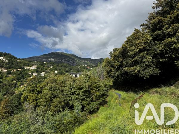 Terrain à vendre 3 117 m² Sainte-Agnès
