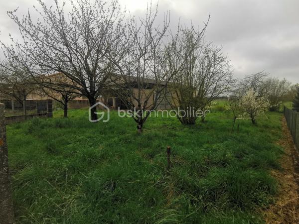 Terrain de 1 086 m²