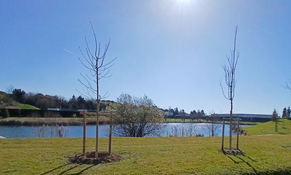 Appartement Chessy 4 pièce(s) 81.8 m2