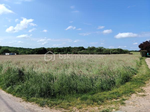 A SEULEMENT 5 MINUTES DE MONNAIE !!
🌳 Opportunité à Crotelles (37380) : Terrain Constructible de 1349 m²
Amboise et Tours 20 min, Château-Renault à 5 min

Vous rêvez de construire votre futur foyer dans un cadre préservé, alliant sérénité et nature ?
Découvrez ce magnifique terrain plat situé sur la charmante commune de Crotelles, au cœur d’un environnement privilégié.

✨ Les points forts du terrain :
Surface généreuse : 1349 m² pour réaliser tous vos projets (maison spacieuse, jardin, piscine).
Topographie idéale : Terrain plat, facilitant les travaux de terrassement et de construction.
Sérénité garantie : Situé dans une zone calme avec très peu de passages, offrant un cadre de vie paisible et familial.
Vue & Nature : Profitez d'une vue dégagée sur les paysages environnants
Sécurité technique : Étude de sol G1 déjà réalisée.

📍 Localisation & Cadre de vie :
Crotelles est une commune recherchée pour sa qualité de vie, à deux pas de Monnaie et ses commerces et des axes vers Tours et accès autoroute A 10
Éducation : École primaire au sein de la commune, idéal pour les familles.
Loisirs verts : Directement accessible pour les amoureux de plein air avec de nombreux chemins de randonnée (marche et vélo) au départ du terrain.
Atmosphère : Un environnement verdoyant et authentique pour une déconnexion totale après le travail.

Prix & Informations : Non viabilisé, réseaux bords de route.
Contactez-moi dès maintenant pour organiser une visite et projeter votre futur chez-vous.
📞 Contact : 06 87 30 45 44
