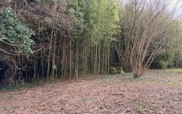 Maison à vendre    4 pièces •  Charvieu-Chavagneux