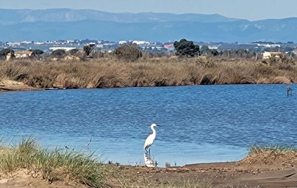 Vente Maison à 300 m de la plage Portiragnes-plage