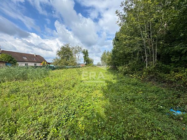 RARE  TERRAIN A BATIR ENSOLEILLE HORS LOTISSEMENT  1500 m²  LURE