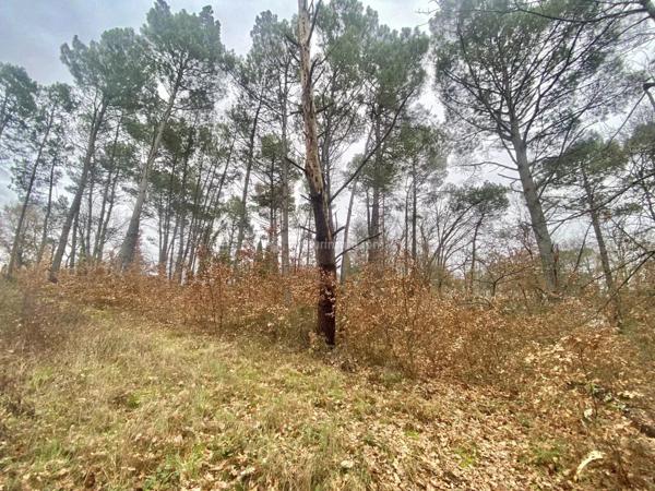 Vente Terrain 3128 m2 à Montans